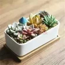 辦公室風(fēng)水禁忌&催財(cái)運(yùn)**！新的一年加薪看這里！