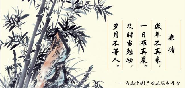 辦公室風(fēng)水?dāng)[件，助你事業(yè)風(fēng)生水起