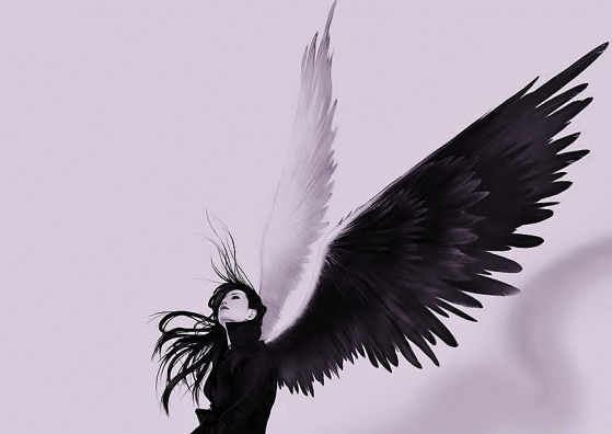 裝修第三方平臺(tái)，是裝修行業(yè)的天使還是惡魔